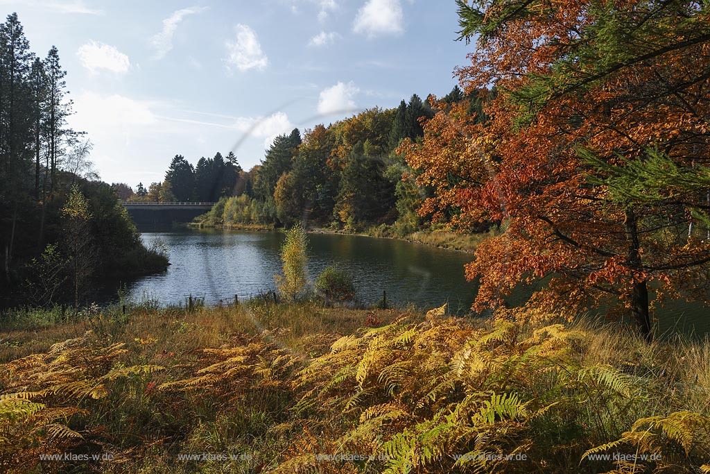 Wuppertal-Ronsdorf, Ronsdorfer Talsperrre im Herbst, sie dient zur Trinkwasserversorgung der Stadt und ist ein beruehmtes Naherholungsgebiet in Wuppertal; Wuppertal-Ronsdorf, barrage Ronsdorfer Talsperre in autumn.