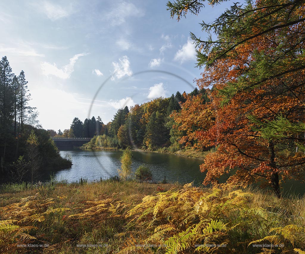 Wuppertal-Ronsdorf, Ronsdorfer Talsperrre im Herbst, sie dient zur Trinkwasserversorgung der Stadt und ist ein beruehmtes Naherholungsgebiet in Wuppertal; Wuppertal-Ronsdorf, barrage Ronsdorfer Talsperre in autumn.