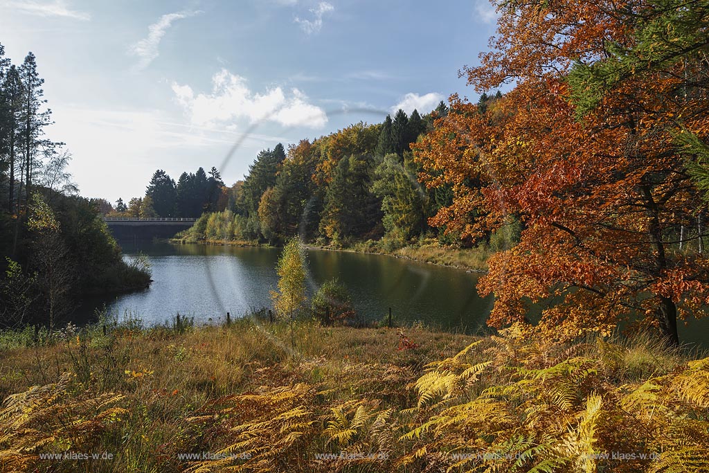 Wuppertal-Ronsdorf, Ronsdorfer Talsperrre im Herbst, sie dient zur Trinkwasserversorgung der Stadt und ist ein beruehmtes Naherholungsgebiet in Wuppertal; Wuppertal-Ronsdorf, barrage Ronsdorfer Talsperre in autumn.