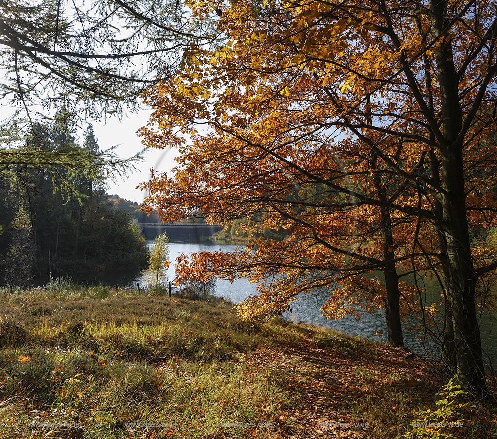 Wuppertal-Ronsdorf, Ronsdorfer Talsperrre im Herbst, sie dient zur Trinkwasserversorgung der Stadt und ist ein beruehmtes Naherholungsgebiet in Wuppertal; Wuppertal-Ronsdorf, barrage Ronsdorfer Talsperre in autumn.