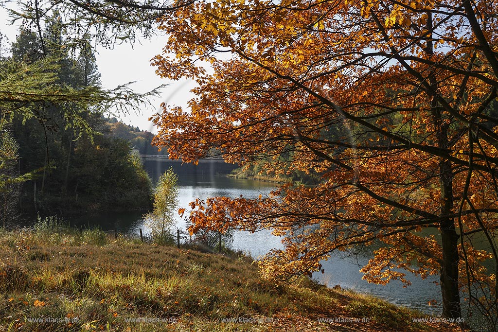 Wuppertal-Ronsdorf, Ronsdorfer Talsperrre im Herbst, sie dient zur Trinkwasserversorgung der Stadt und ist ein beruehmtes Naherholungsgebiet in Wuppertal; Wuppertal-Ronsdorf, barrage Ronsdorfer Talsperre in autumn.