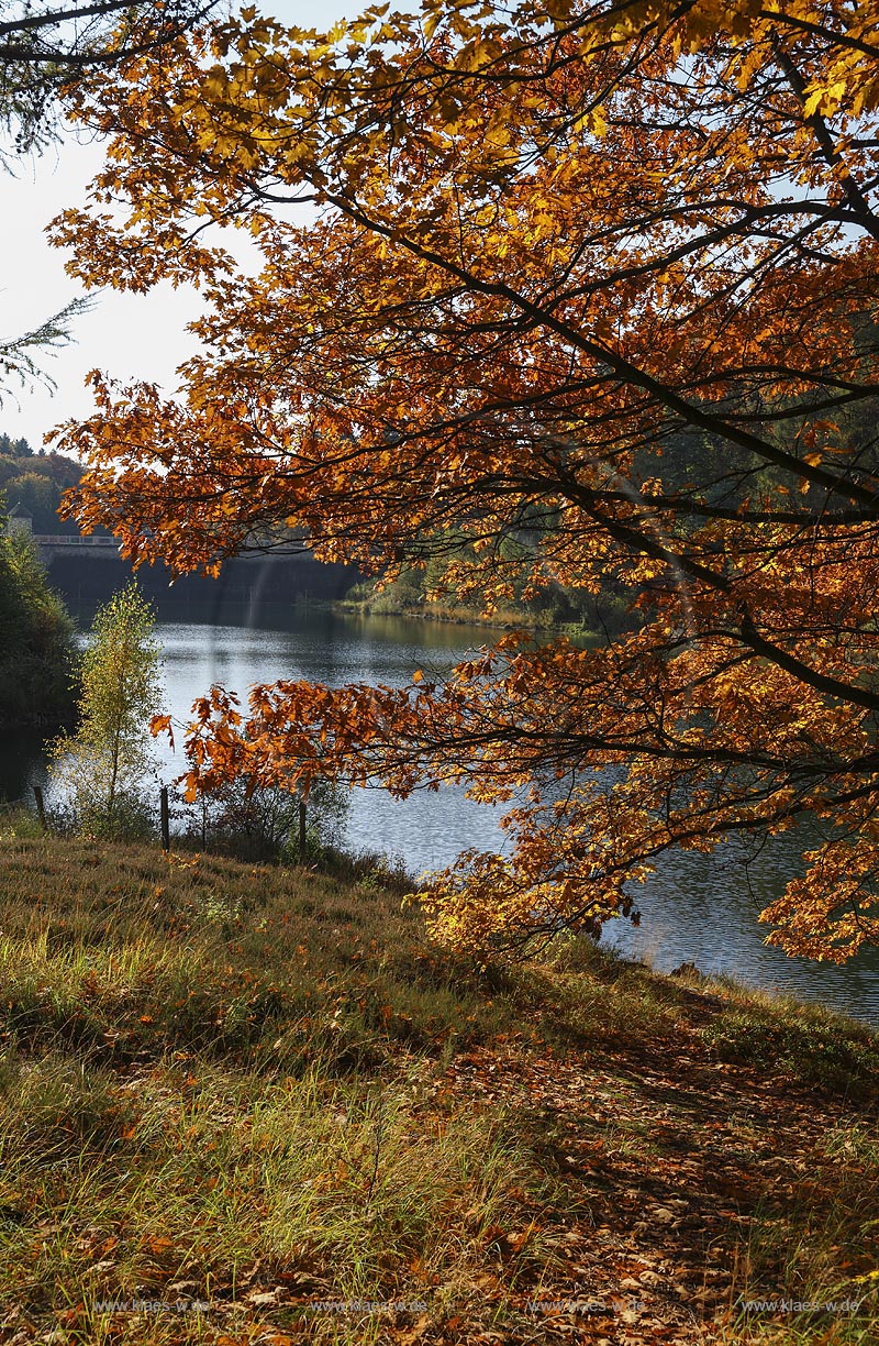 Wuppertal-Ronsdorf, Ronsdorfer Talsperrre im Herbst, sie dient zur Trinkwasserversorgung der Stadt und ist ein beruehmtes Naherholungsgebiet in Wuppertal; Wuppertal-Ronsdorf, barrage Ronsdorfer Talsperre in autumn.