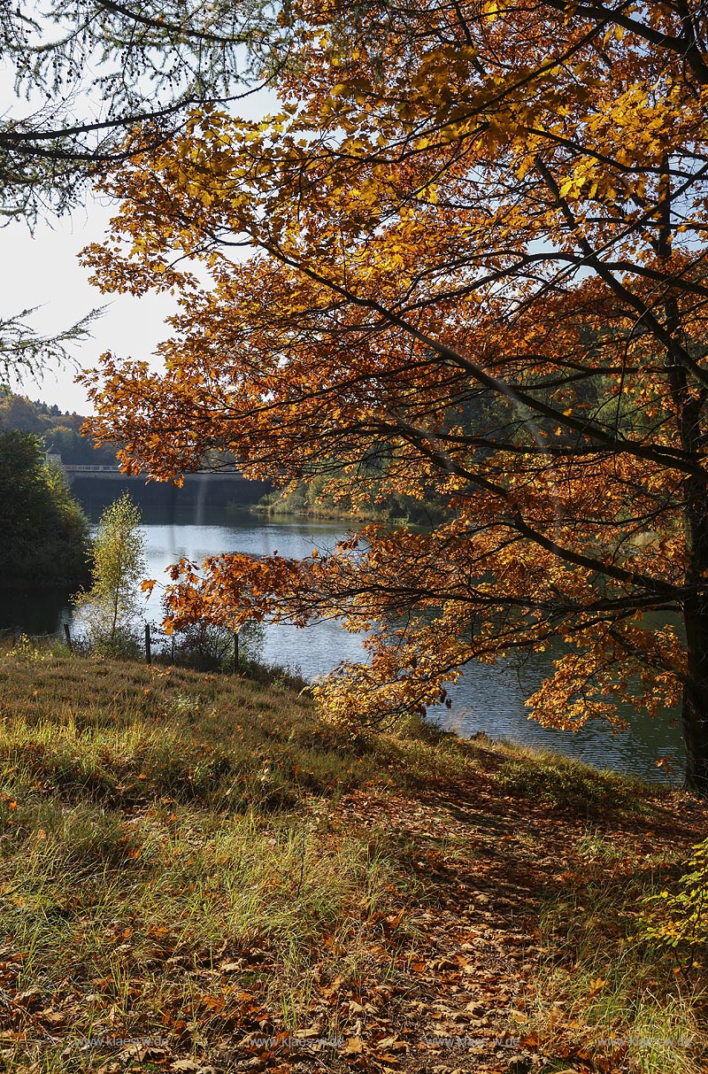 Wuppertal-Ronsdorf, Ronsdorfer Talsperrre im Herbst, sie dient zur Trinkwasserversorgung der Stadt und ist ein beruehmtes Naherholungsgebiet in Wuppertal; Wuppertal-Ronsdorf, barrage Ronsdorfer Talsperre in autumn.