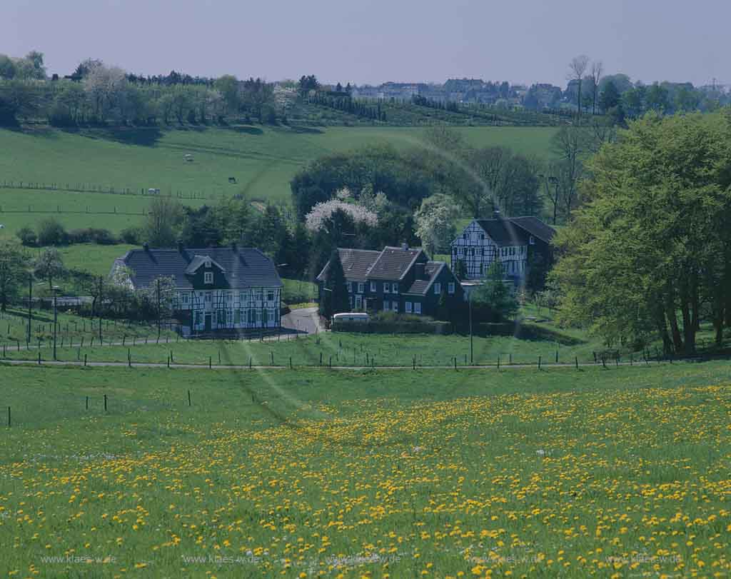 Ronsdorf, Wuppertal, Regierungsbezirk Dsseldorf, Duesseldorf, Blick auf Hofschaft Huckenbach in Sommerstimmung