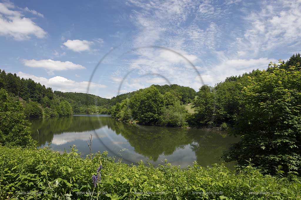 Wuppertal, Blick auf die Wuppervorsperre der Wuppertalsperre, View to the barrage fixe of Wuppertal