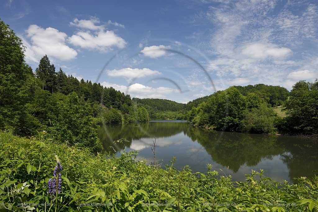 Wuppertal, Blick auf die Wuppervorsperre der Wuppertalsperre, View to the barrage fixe of Wuppertal