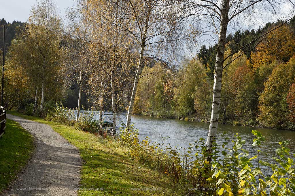 Wuppertalsperre, Wuppervorsperre bei  Hueckeswagen Blick auf die Talsperre mit Herbstlandschaft, Wanderweg, Birken; Wupperbarrage Wuppertal view at the barrage with landscape in autumn with hiking path and birch trees