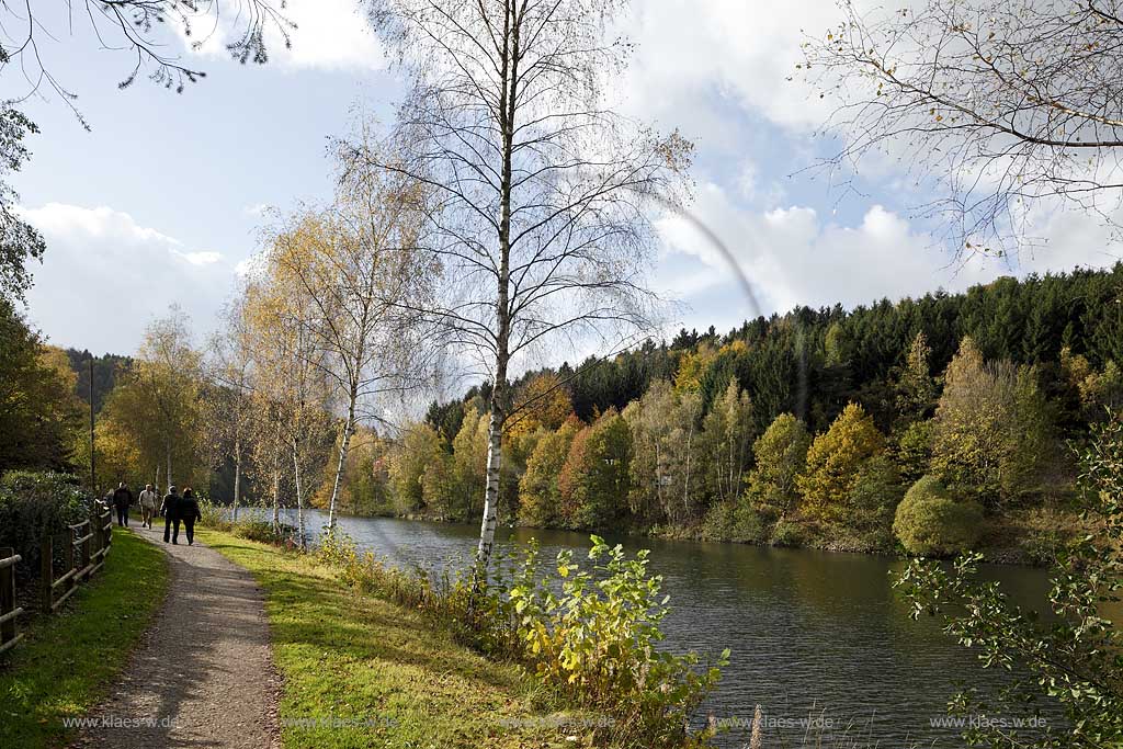 Wuppertalsperre, Wuppervorsperre bei  Hueckeswagen Blick auf die Talsperre mit Herbstlandschaft, Wanderweg, Wanderern, Birken; Wupperbarrage Wuppertal view at the barrage with landscape in autumn with hiking pat, hikers and birch trees