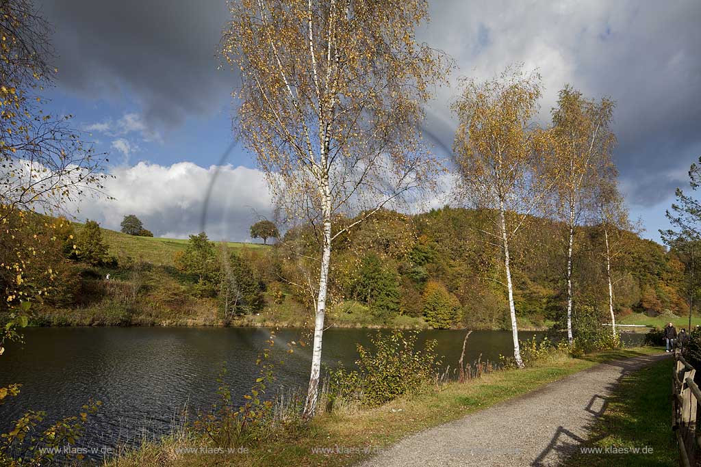 Wuppertalsperre, Wuppervorsperre bei  Hueckeswagen Blick auf die Talsperre mit Herbstlandschaft, Wanderweg, Wanderern, Birken; Wupperbarrage Wuppertal view at the barrage with landscape in autumn with hiking pat, hikers and birch trees