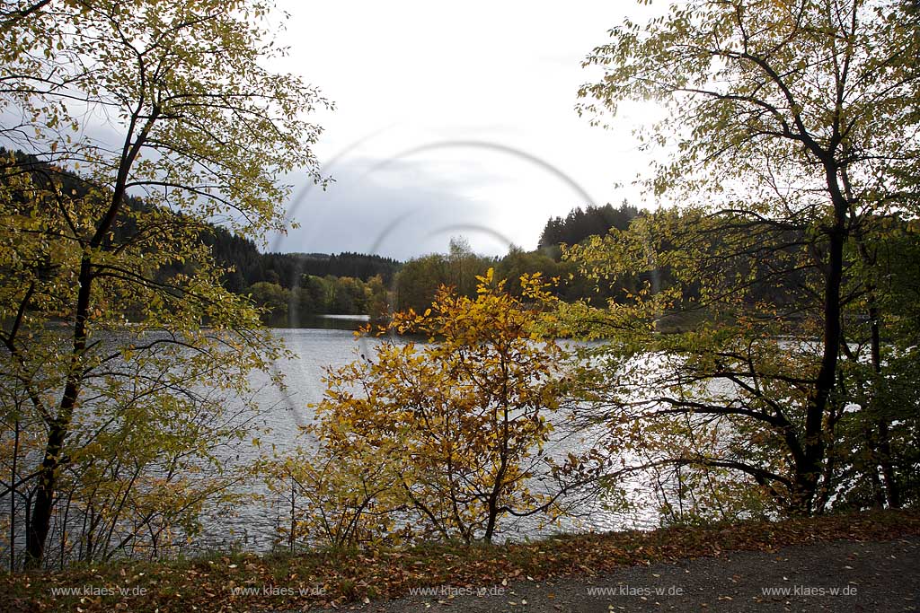 Wuppertalsperre,Wupper Vorsperre in stimmungsvoller Herbstlandschaft; Wuppertal barrage in atmospheric autumn landscape