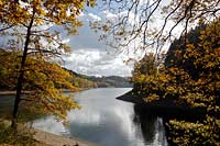 Appertalsperre bei Gummersbach, Blick zur Sperrmauer im Gegenlicht mit Wolkenstimmung und verfaerbtem Herbstlaub, Herbststimmung und Spiegelbild; Agger barrage near Gummersbach in atmospheric autumn landscape, view to the dam with clouds and mirror image