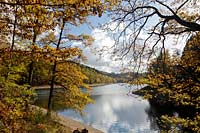 Appertalsperre bei Gummersbach, Blick zur Sperrmauer im Gegenlicht mit Wolkenstimmung und verfaerbtem Herbstlaub, Herbststimmung und Spiegelbild; Agger barrage near Gummersbach in atmospheric autumn landscape, view to the dam with clouds and mirror image