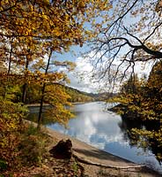 Appertalsperre bei Gummersbach, Blick zur Sperrmauer im Gegenlicht mit Wolkenstimmung und verfaerbtem Herbstlaub, Herbststimmung und Spiegelbild; Agger barrage near Gummersbach in atmospheric autumn landscape, view to the dam with clouds and mirror image