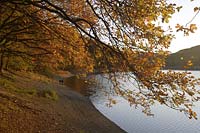 Aggertalsperre, Oberbergischer Kreis, Bergisches Land, Gummersbach, Bergneustadt, Meinerzhagen, Blick auf Aggertalsperre und Landschaft in Herbststimmung