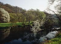 Wipperaue, Solingen, Regierungsbezirk Dsseldorf, Blick auf Wipper, Wupperlauf im Frhling, Fruehling mit Blten, Blueten 