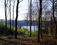 Wahnbach-Talsperre, Siegburg-Seligenthal, Rhein-Sieg-Kreis, Blick auf Talsperre und Landschaft