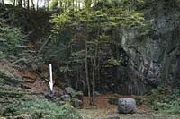 emoria Mundi auf dem Kunstweg im Neandertal bei Mettmann, in einem von  Vegetation berwucherten, ehemaligen Steinbruch haben Anne und Patrick Poirier ein Bild fr das Gedchtnis der Welt geschaffen. mit zwei fremde Elementen, einem Pfeil und einrm Gehirn, die zu einem metaphorischen Bild werden. Die Poiriers, die sich mit Orten des kollektiven Gedchtnisses auseinander setzen, haben den Steinbruch wie einen archologischen Fundort zurckgelassen. Das Bild soll an unsere kulturellen Wurzeln und ihre Bewahrung erinnern