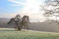 Solingen Jagenberg, Novembermorgen, Blick von Burger Landstrasse ueber Landschaft Richtung Solingen-Burg im Spaetherbst mit Raureif, Baum auf Wiese, Herbstnebel; Solingen Jagenberg November morning autumn landscape with a tree on gassland and mist 