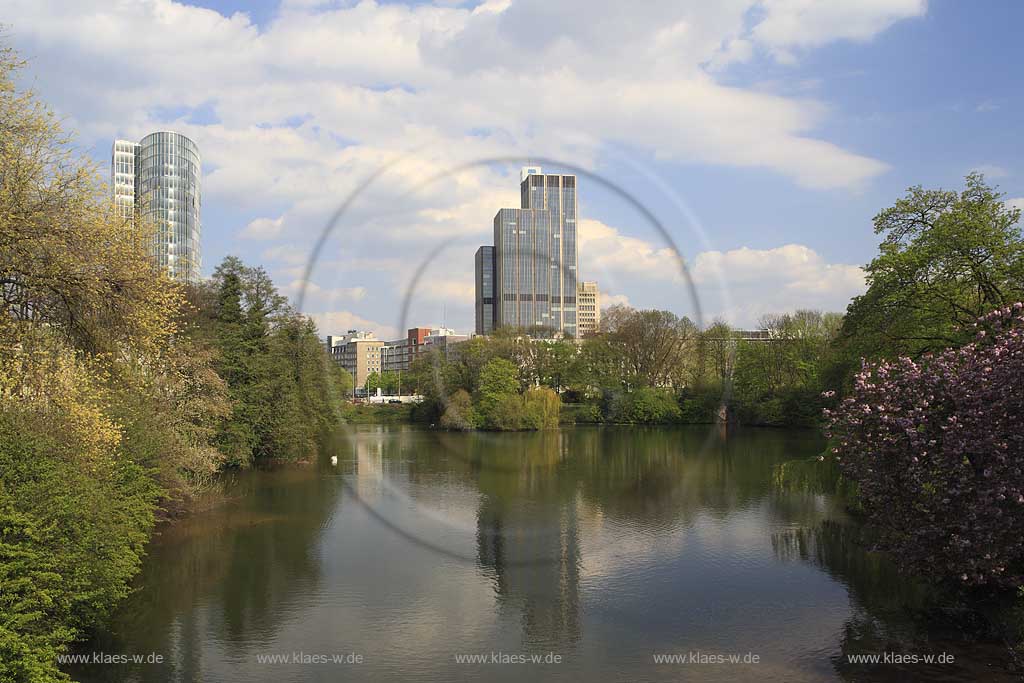 Unterbilk, Dsseldorf, Duesseldorf, Niederrhein, Bergisches Land, Blick auf Anlage Schwanenspiegel mit Schwan und Sicht auf Gap 15 Hochaus und Landesversicherungsanstalt LVA in Frhlingsstimmung, Fruehlingsstimmung