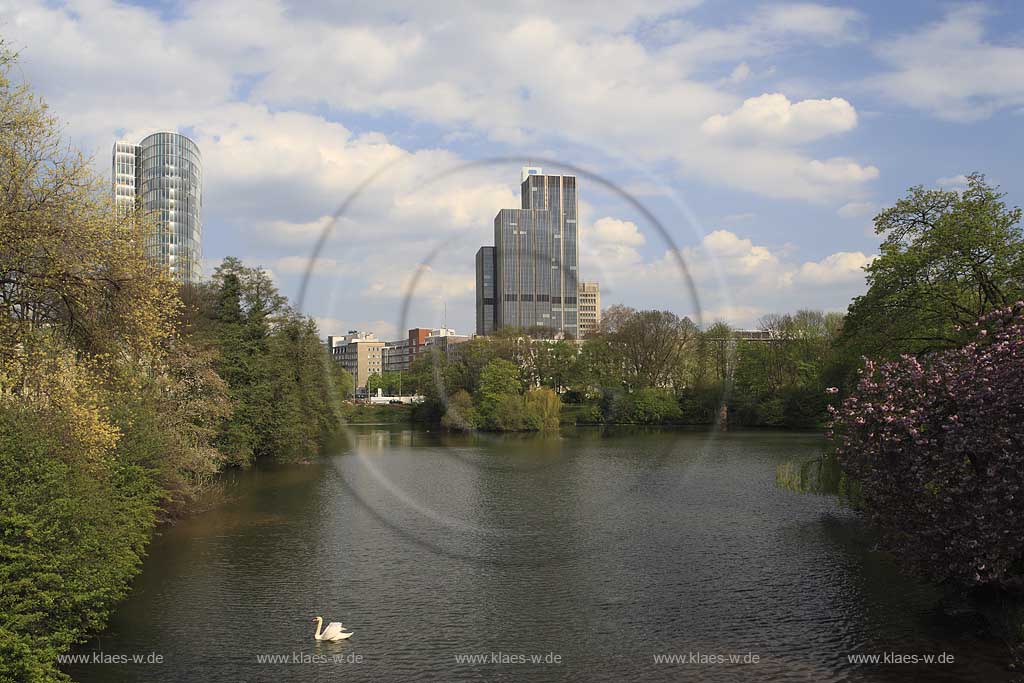 Unterbilk, Dsseldorf, Duesseldorf, Niederrhein, Bergisches Land, Blick auf Anlage Schwanenspiegel mit Schwan und Sicht auf Gap 15 Hochaus und Landesversicherungsanstalt LVA in Frhlingsstimmung, Fruehlingsstimmung