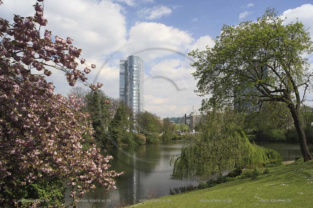 Unterbilk, Dsseldorf, Duesseldorf, Niederrhein, Bergisches Land, Blick auf Anlage Schwanenspiegel mit Schwan und Sicht auf Gap 15 Hochaus und Landesversicherungsanstalt LVA in Frhlingsstimmung, Fruehlingsstimmung