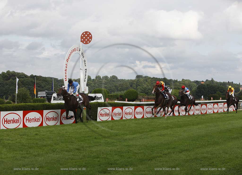 Blick auf das Pferderennen beim 150. Henkel Renntag um den Preis der Diana 2008 in Dsseldorf, Duesseldorf Grafenberg mit Sicht auf Jockey Andrasch Starke und Stute Rosenreihe gefolgt von anderen Rennteilnehmern