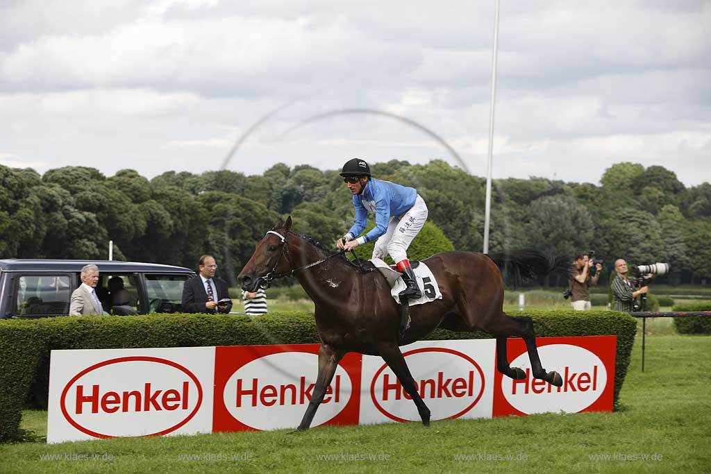 Blick auf das Pferderennen beim 150. Henkel Renntag um den Preis der Diana 2008 in Dsseldorf, Duesseldorf Grafenberg mit Sicht auf Jockey Andrasch Starke und dem Pferd Rosenreihe beim 7. Rennen