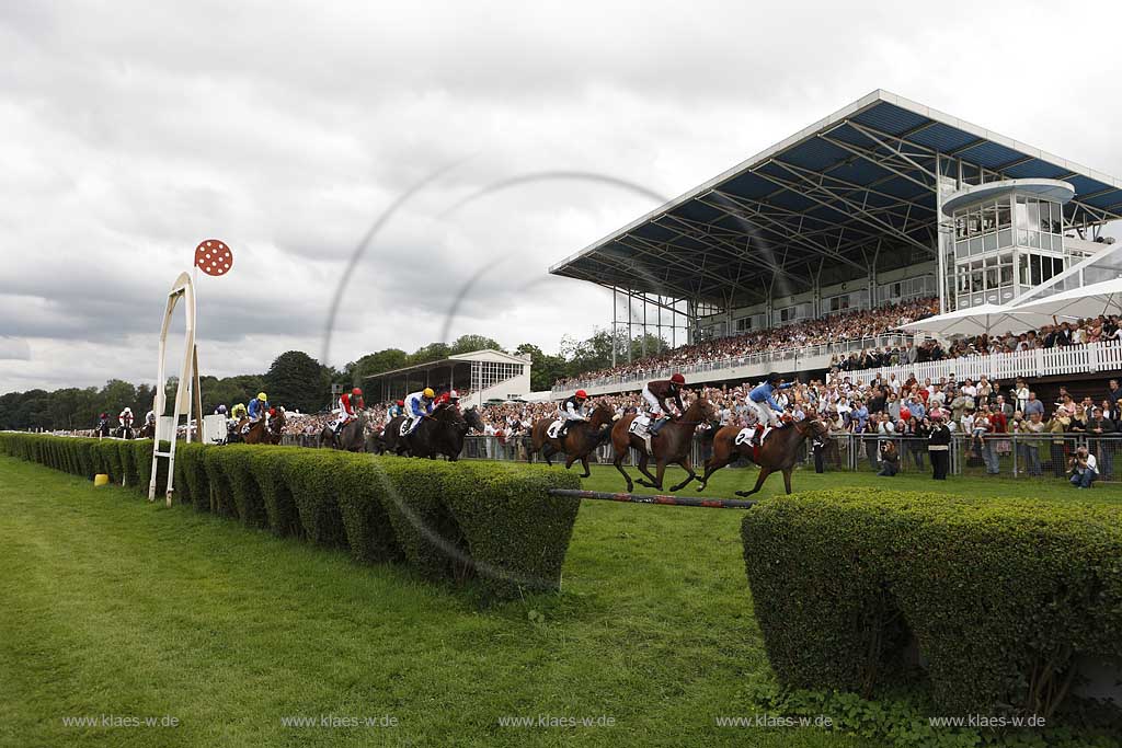 Blick auf das Pferderennen beim 150. Henkel Renntag um den Preis der Diana 2008 in Dsseldorf, Duesseldorf Grafenberg mit Sicht auf Jockeys und Rennpferde im Galopp und Blick zur Tribuene mit Zuschauern