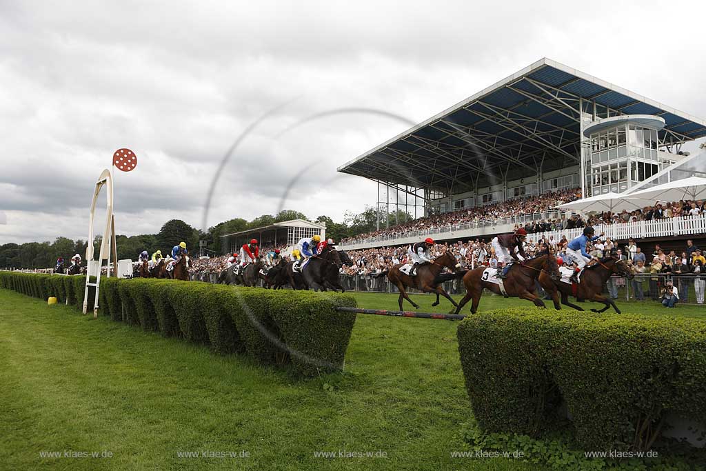 Blick auf das Pferderennen beim 150. Henkel Renntag um den Preis der Diana 2008 in Dsseldorf, Duesseldorf Grafenberg mit Sicht auf Jockeys und Rennpferde im Galopp und Blick zur Tribuene mit Zuschauern