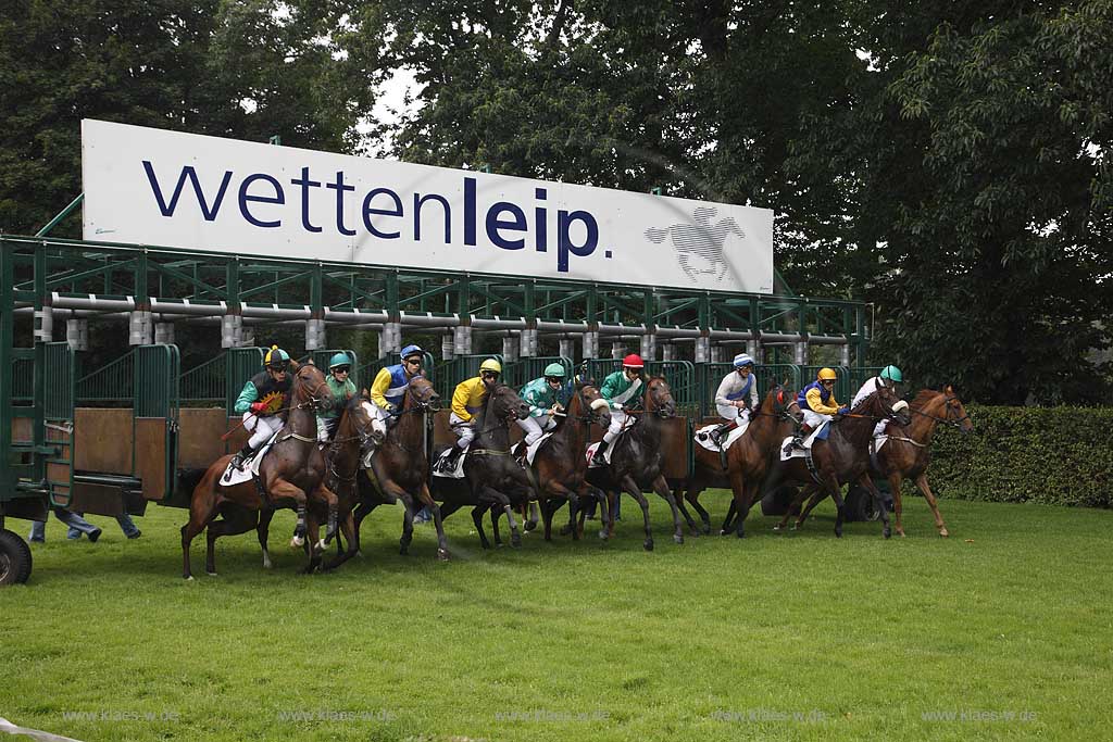 Blick auf das Pferderennen beim 150. Henkel Renntag um den Preis der Diana 2008 in Dsseldorf, Duesseldorf Grafenberg mit Sicht auf den Start beim Verlassen der Jockeys mit Pferden der Startboxen