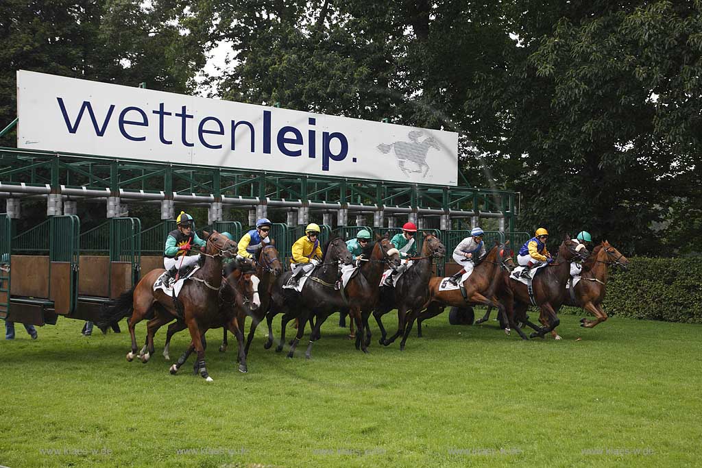 Blick auf das Pferderennen beim 150. Henkel Renntag um den Preis der Diana 2008 in Dsseldorf, Duesseldorf Grafenberg mit Sicht auf den Start beim Verlassen der Jockeys mit Pferden der Startboxen