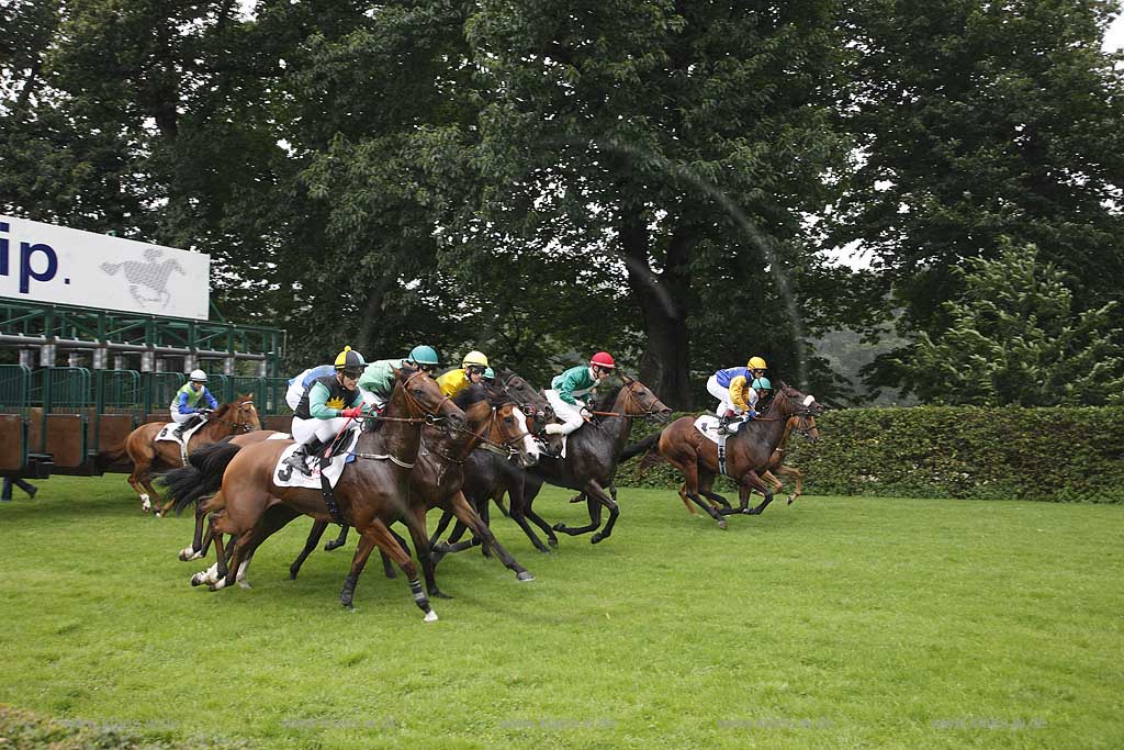 Blick auf das Pferderennen beim 150. Henkel Renntag um den Preis der Diana 2008 in Dsseldorf, Duesseldorf Grafenberg mit Sicht auf den Start beim Verlassen der Jockeys mit Pferden der Startboxen