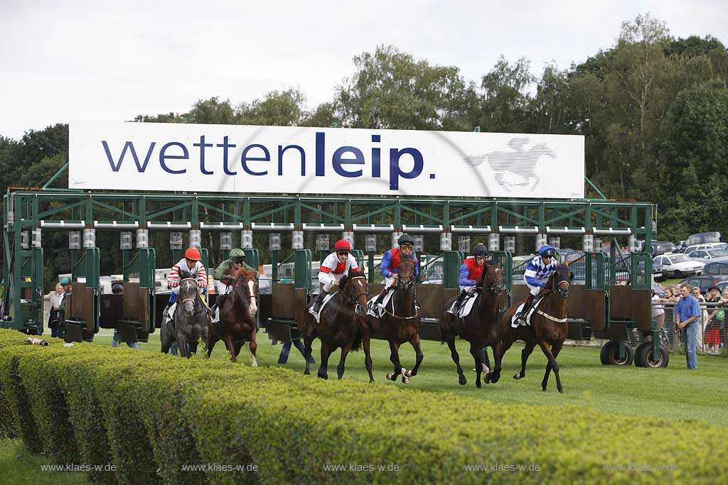 Blick auf das Pferderennen beim 150. Henkel Renntag um den Preis der Diana 2008 in Dsseldorf, Duesseldorf Grafenberg mit Sicht auf den Start beim Verlassen der Jockeys mit Pferden der Startboxen