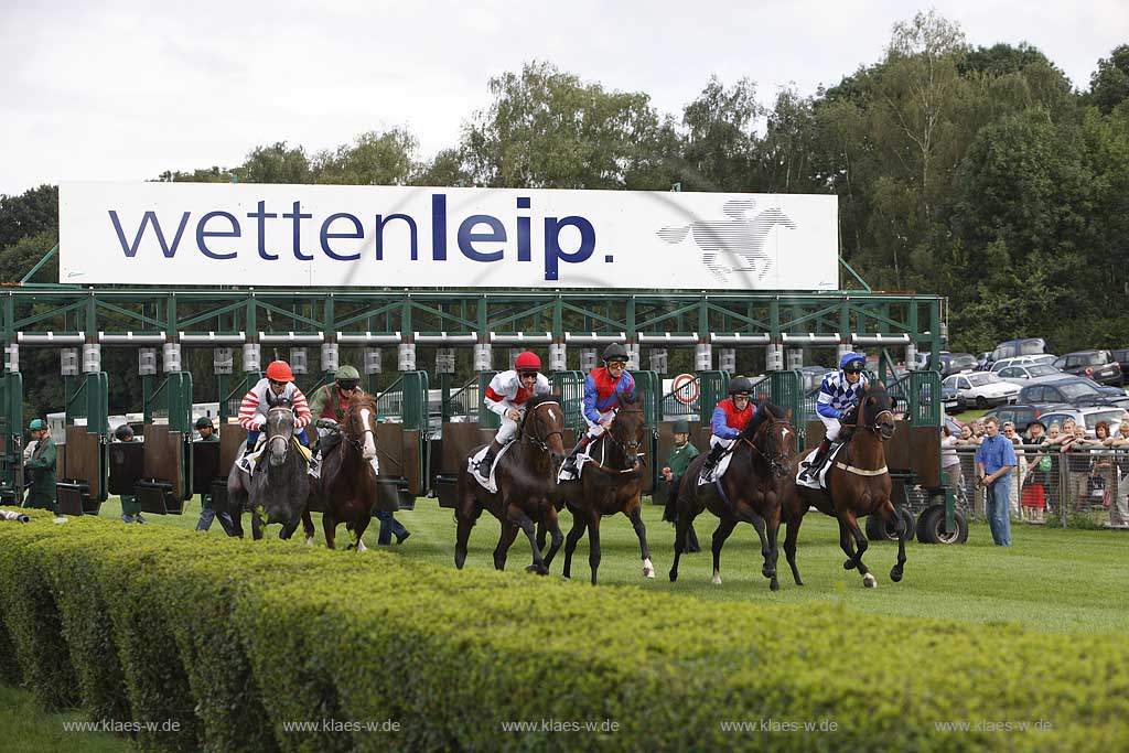 Blick auf das Pferderennen beim 150. Henkel Renntag um den Preis der Diana 2008 in Dsseldorf, Duesseldorf Grafenberg mit Sicht auf den Start beim Verlassen der Jockeys mit Pferden der Startboxen