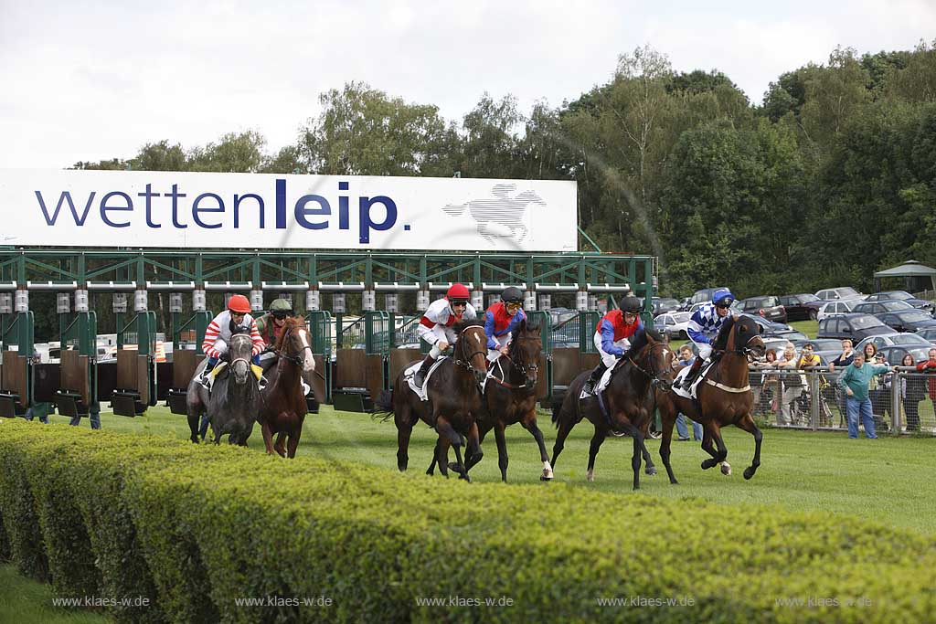 Blick auf das Pferderennen beim 150. Henkel Renntag um den Preis der Diana 2008 in Dsseldorf, Duesseldorf Grafenberg mit Sicht auf den Start beim Verlassen der Jockeys mit Pferden der Startboxen