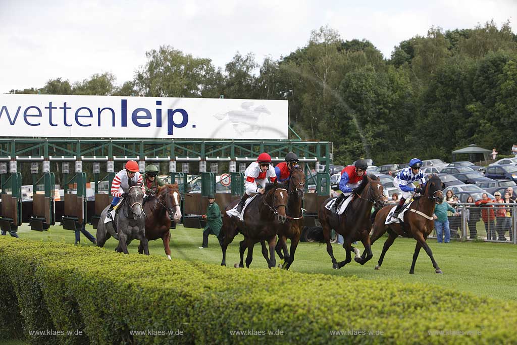 Blick auf das Pferderennen beim 150. Henkel Renntag um den Preis der Diana 2008 in Dsseldorf, Duesseldorf Grafenberg mit Sicht auf den Start beim Verlassen der Jockeys mit Pferden der Startboxen