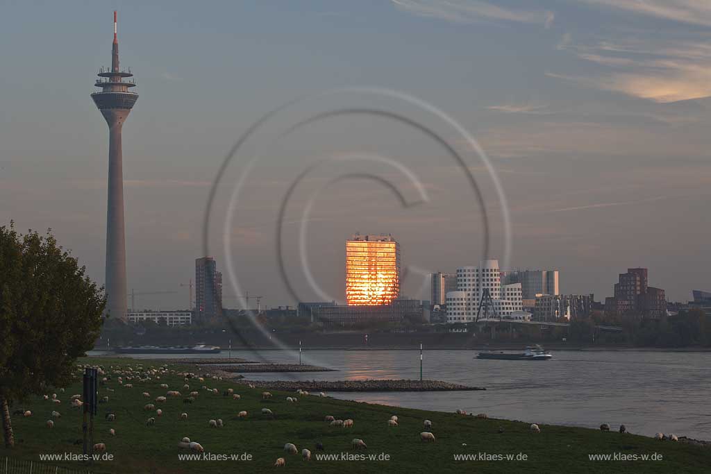 Dsseldorf, Rhein, Rheinturm, Stadttor, Gehry Bauten, Gehry buildings,  Rheinwiese