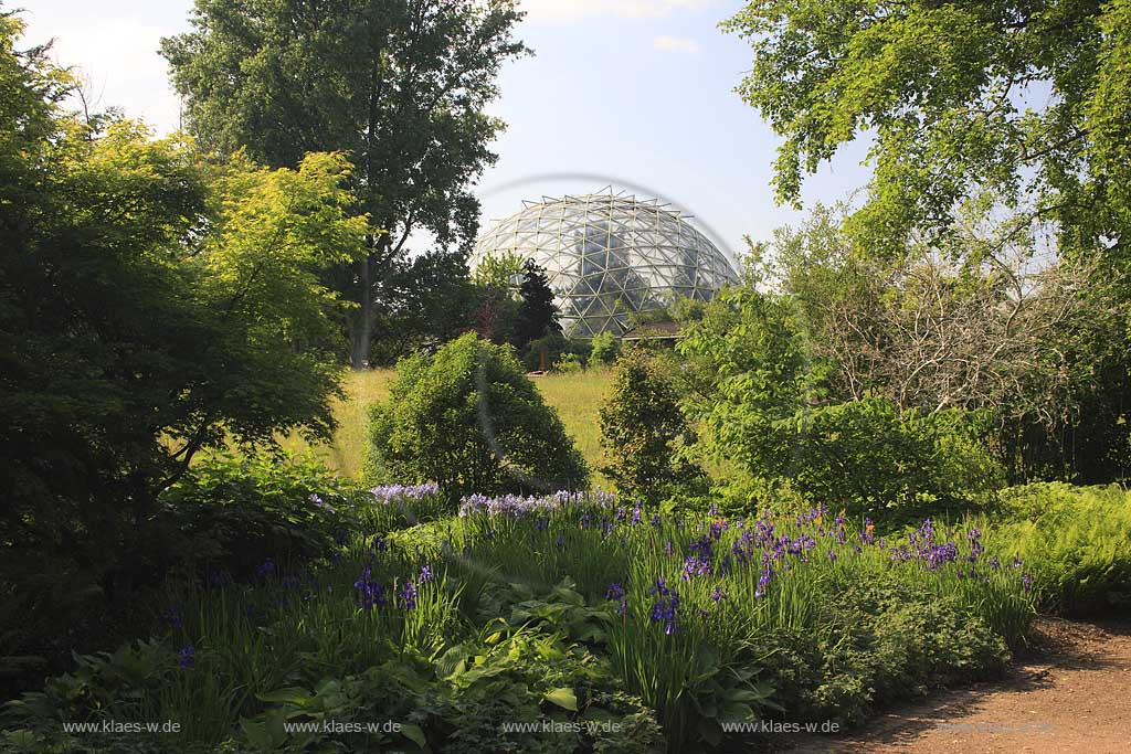 Wersten, Dsseldorf, Duesseldorf, Blick in Botanischen Garten der Heinrich Heine Universitaet, Universitt mit Gewaechshauskuppel, Gewchshauskuppel