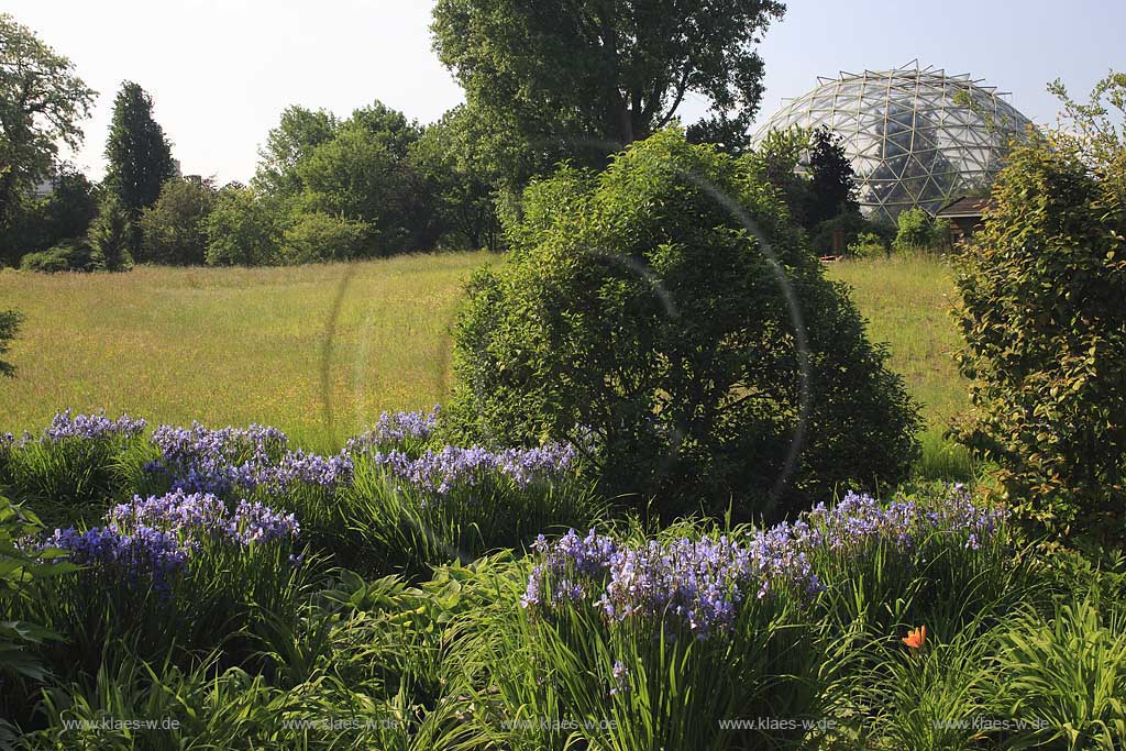 Wersten, Dsseldorf, Duesseldorf, Blick in Botanischen Garten der Heinrich Heine Universitaet, Universitt mit Gewaechshauskuppel, Gewchshauskuppel