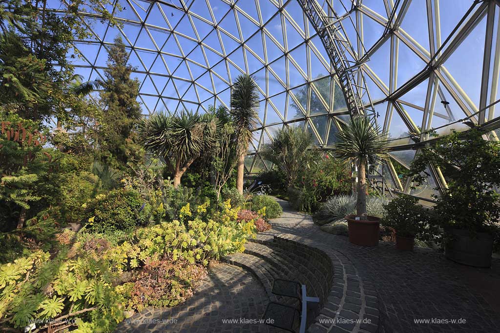 Wersten, Dsseldorf, Duesseldorf, Blick in Gewaechshaus, Gewchshaus des Botanischen Garten der Heinrich Heine Universitaet mit Glaskuppel