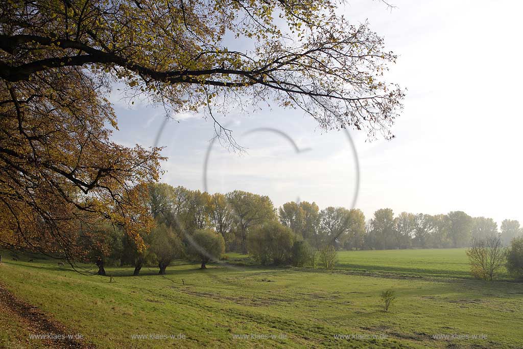 Dsseldorf, Kaiserswerth, Niederreihnische Landschaft