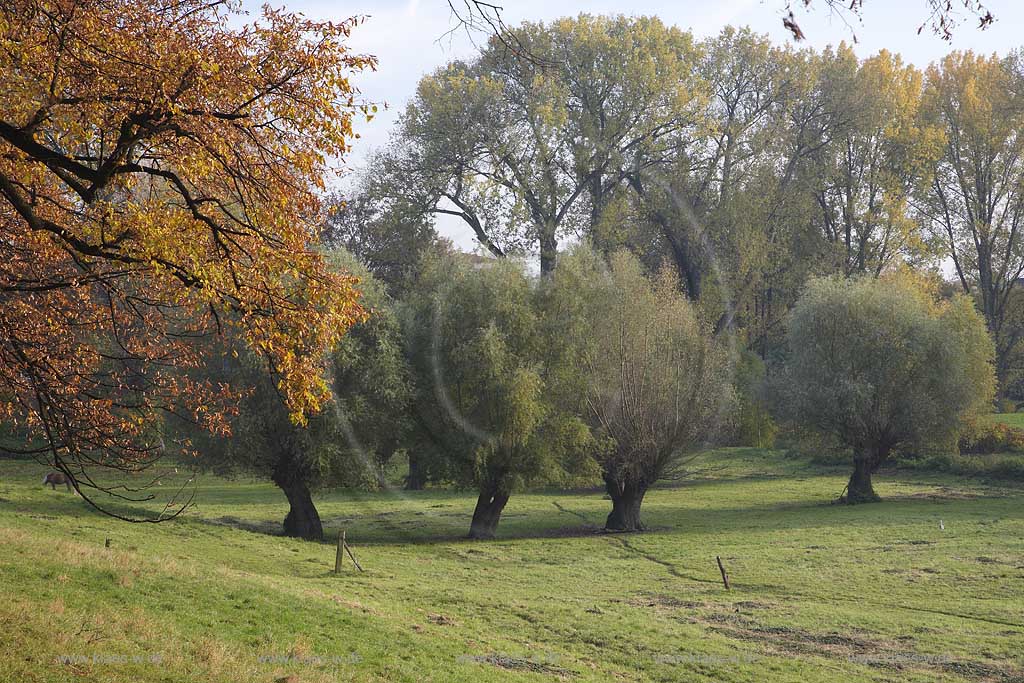 Dsseldorf, Kaiserswerth, Niederreihnische Landschaft