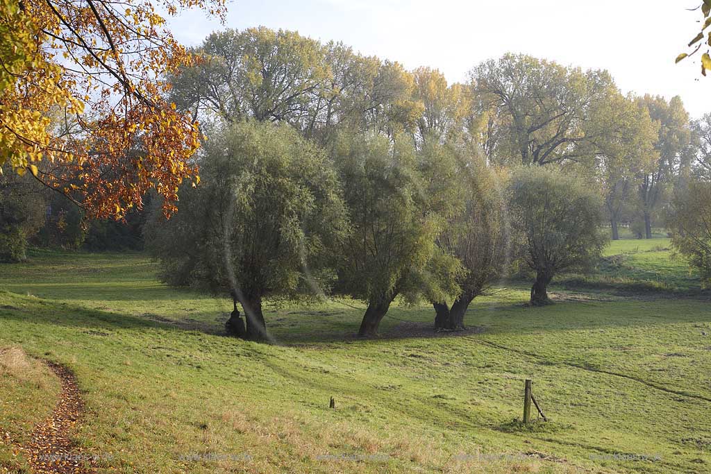 Dsseldorf, Kaiserswerth, Niederreihnische Landschaft