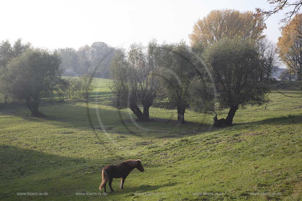 Dsseldorf, Kaiserswerth, Niederreihnische Landschaft