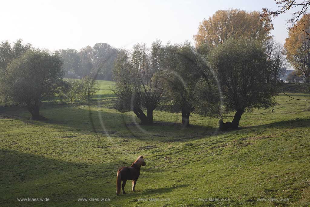 Dsseldorf, Kaiserswerth, Niederreihnische Landschaft