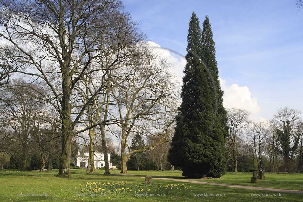 Lohhausen, Dsseldorf, Duesseldorf, Niederrhein, Bergisches Land, Blick in Lantzscher Park in Frhlingsstimmung, Fruehlingsstimmung