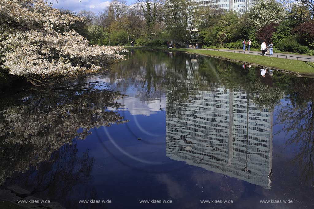 Pempelfort, Dsseldorf, Duesseldorf, Niederrhein, Bergisches Land, Blick auf Spiegelbild im Hofgarten Teich, Hofgartenteich vom Dreischeibenhaus, Thyssenhaus in Frhlingslandschaft, Fruehlingslandschaft