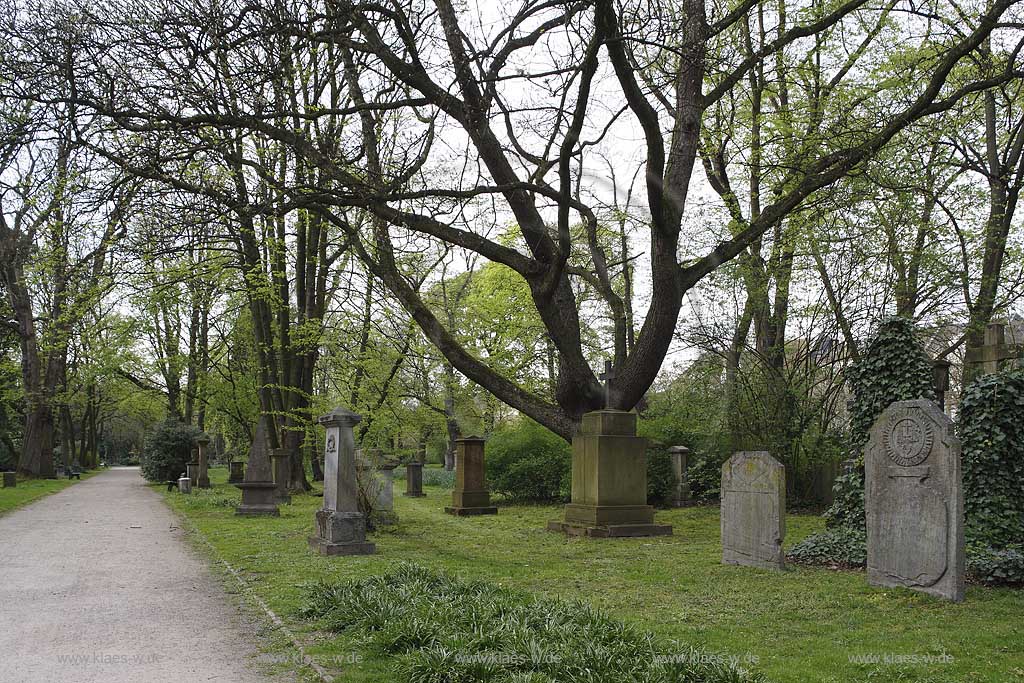 Golzheim, Dsseldorf, Duesseldorf, Niederrhein, Bergisches Land, Blick auf Golzheimer Friedhof mit Grabstaetten, Grabsttten