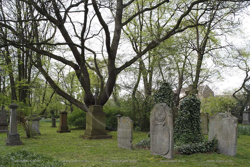 Golzheim, Dsseldorf, Duesseldorf, Niederrhein, Bergisches Land, Blick auf Golzheimer Friedhof mit Grabstaetten, Grabsttten