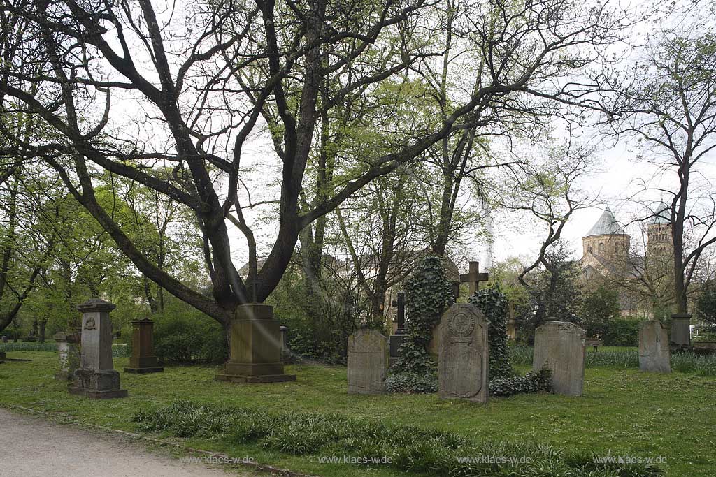 Golzheim, Dsseldorf, Duesseldorf, Niederrhein, Bergisches Land, Blick auf Golzheimer Friedhof mit Grabstaetten, Grabsttten